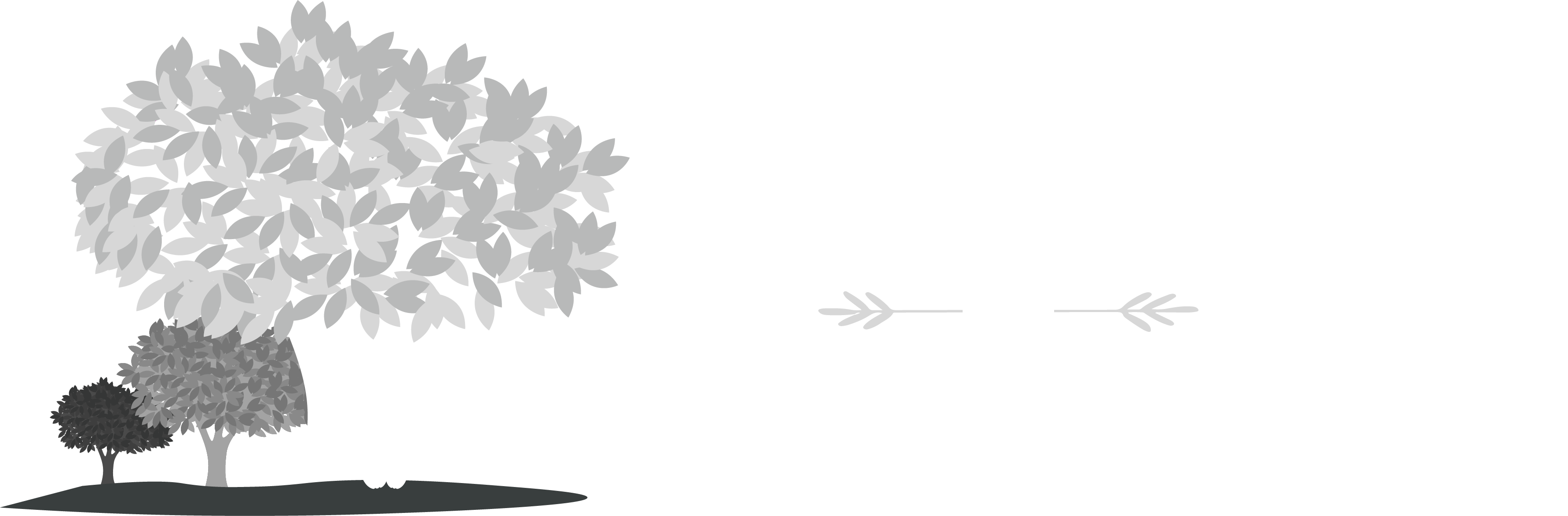The Venue at Orchard View Farms
